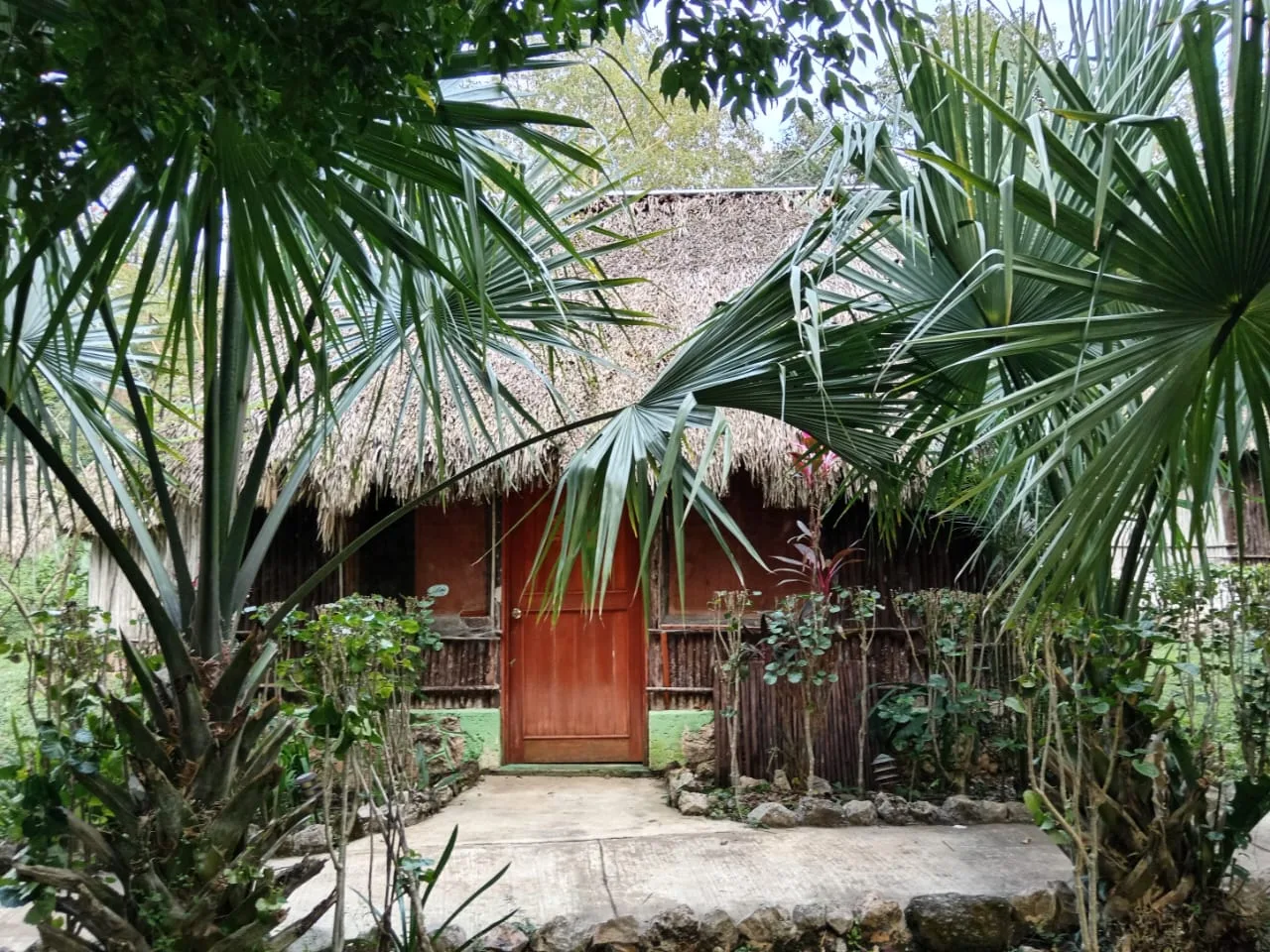 Casa maya de techo de huano, entre palmas