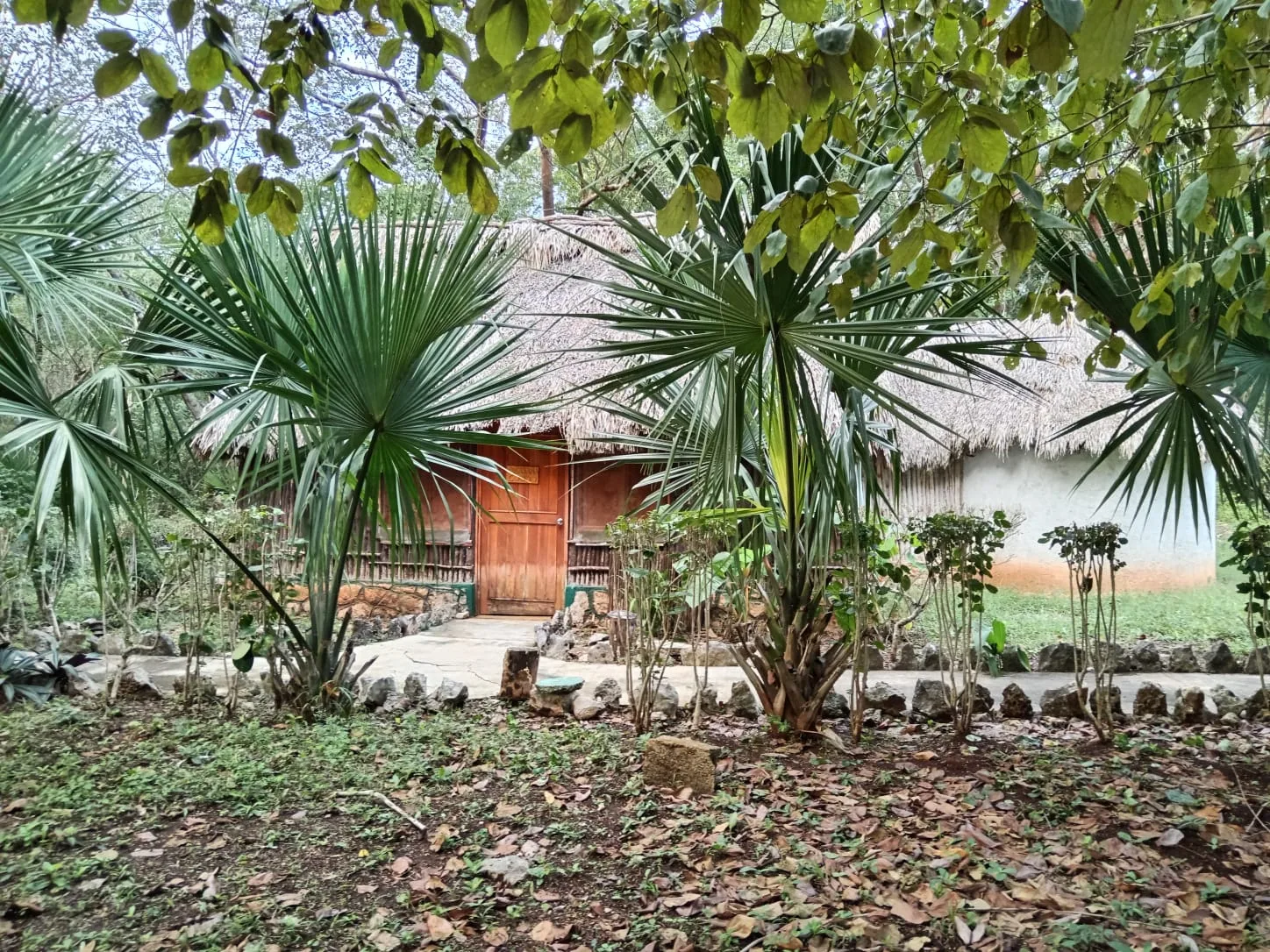 Casa tradicional rodeada de vegetación