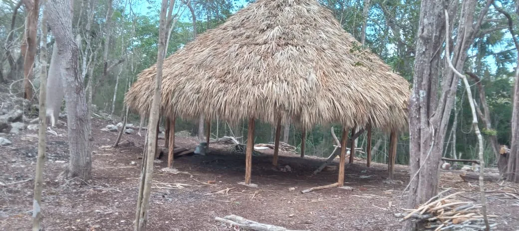 Enramada de palma en el monte